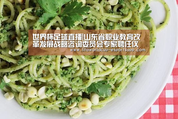世界杯足球直播|山东省职业教育改革发展战略咨询委员会专家聘任仪式举行(图1) 世界杯足球直播