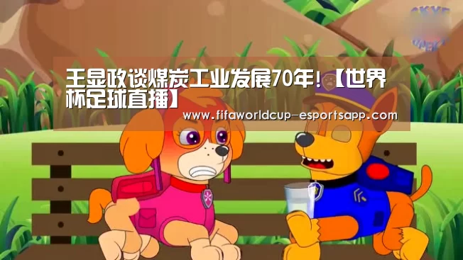王显政谈煤炭工业发展70年!【世界杯足球直播】(图3) FIFA World Cup