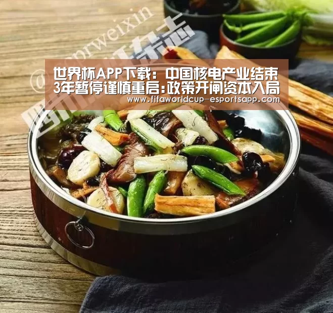 世界杯APP下载:中国核电产业结束3年暂停谨慎重启:政策开闸资本入局(图4) 世界杯足球直播